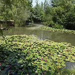 De Charme En Pleine Nature Avec Piscine Prázdninový dům