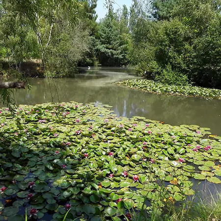 De Charme En Pleine Nature Avec Piscine 度假居