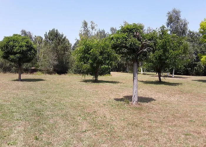 Holiday home La Halouere