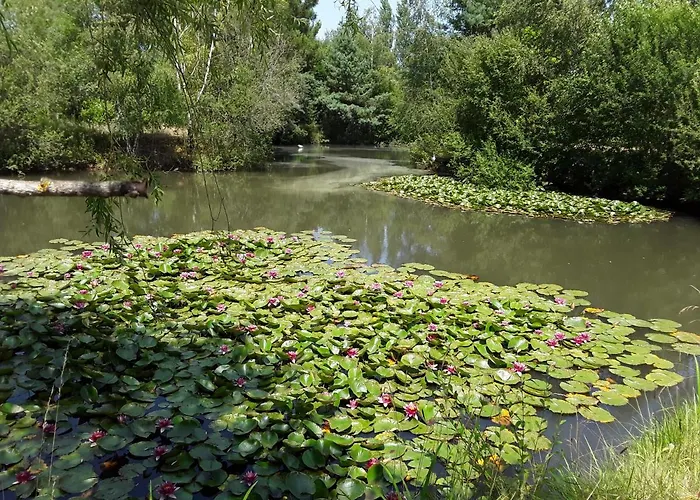 Cottage De Charme En Pleine Nature Avec Piscine Tatil Evi